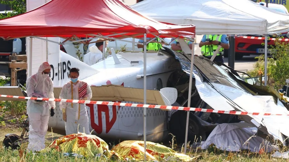 Skydiving Plane Crash Kills 11 in France as Families Witness Horrific Accident